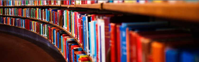 Vizita e bibliotekës së qytetit